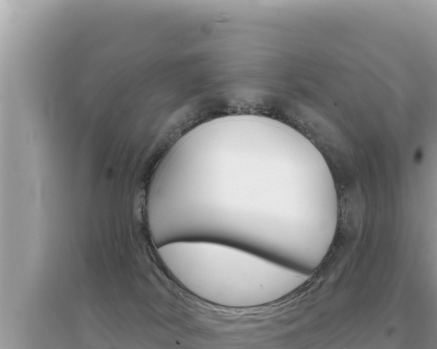 X0000095130038200712071019