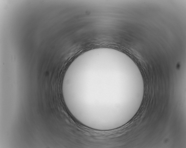 X0000095130039200712071019