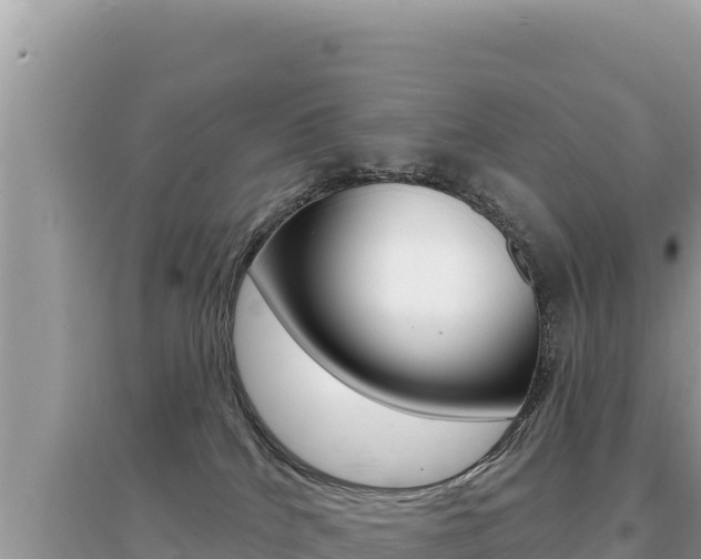 X0000095130040200712071019