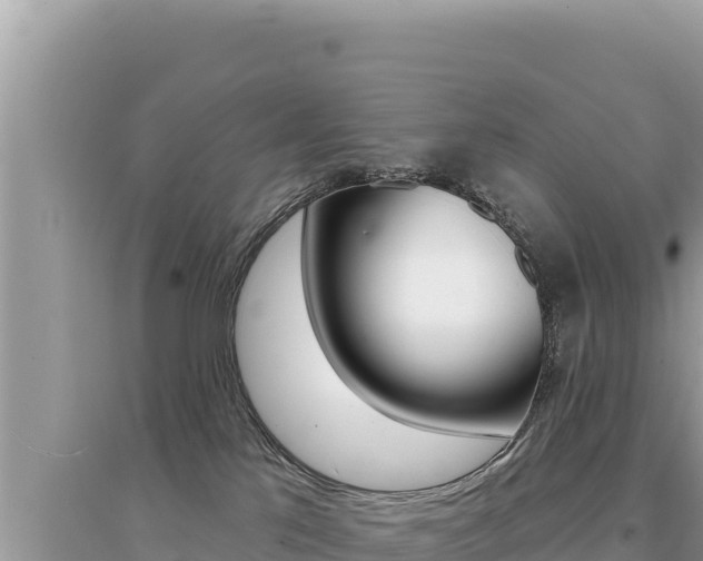 X0000095130041200712071019