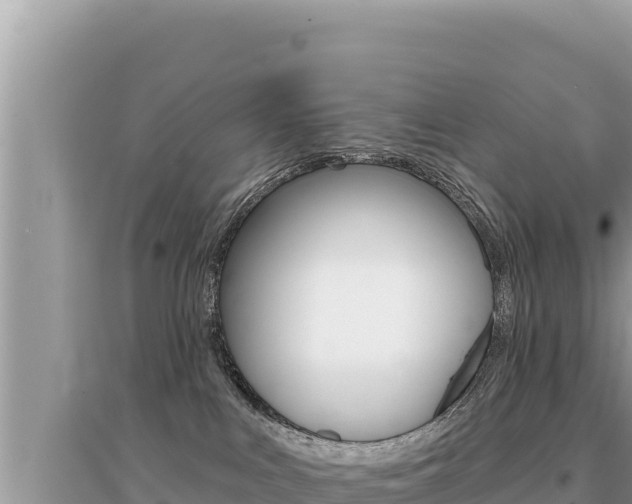 X0000095130043200712071019