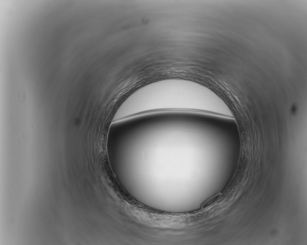 X0000095130044200712071019