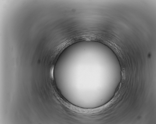X0000095130047200712071019