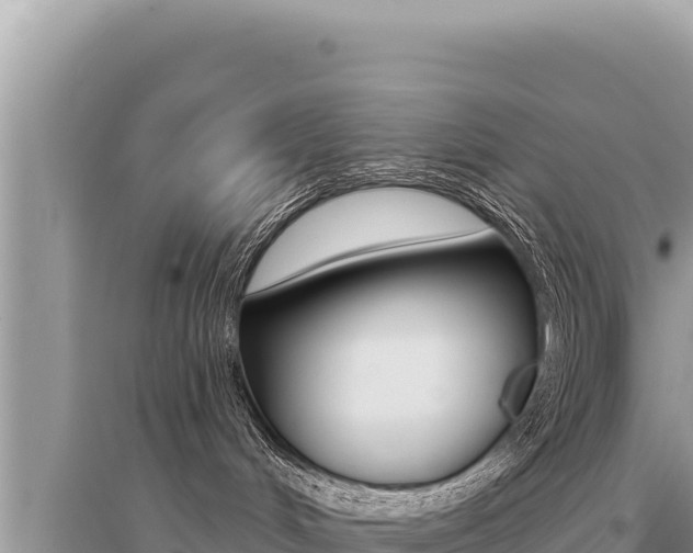 X0000095130048200712071019