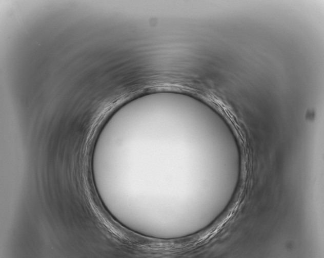 X0000095130049200712071018
