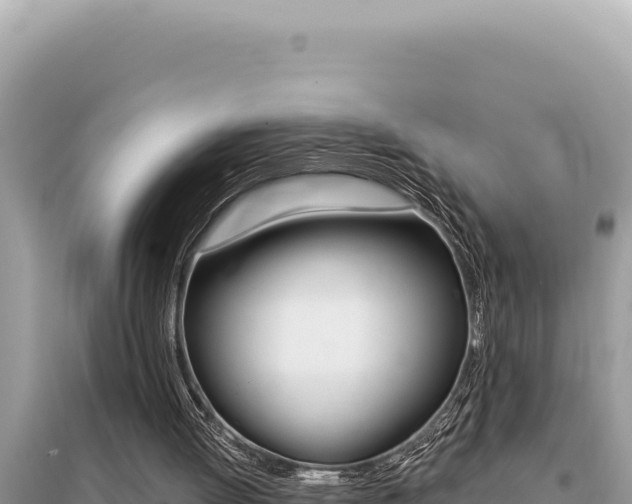 X0000095130052200712071018