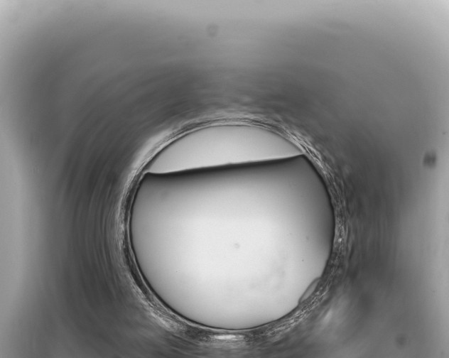 X0000095130053200712071018