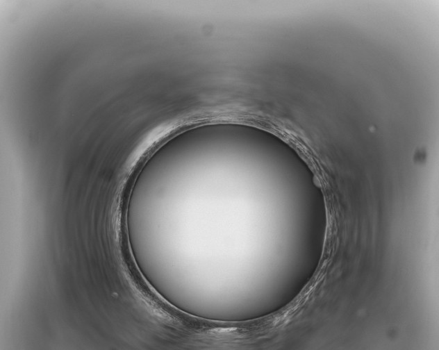 X0000095130054200712071018