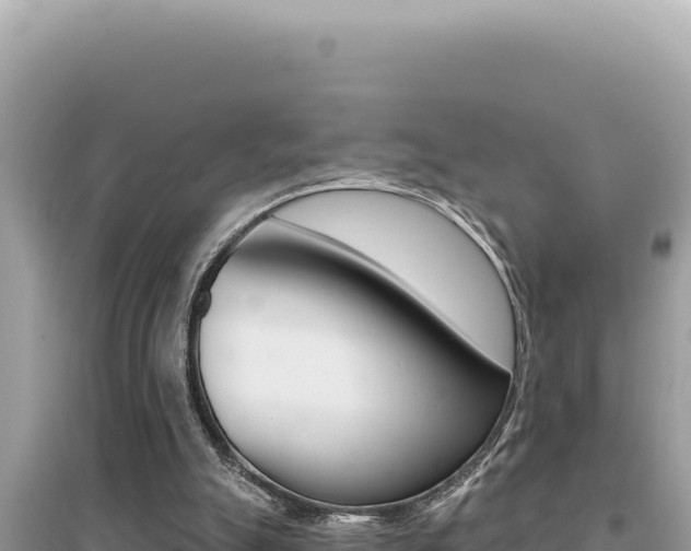 X0000095130055200712071018