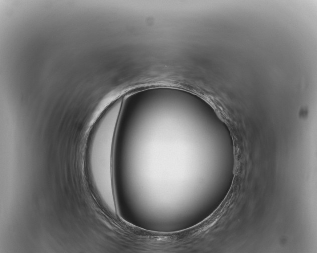 X0000095130056200712071018