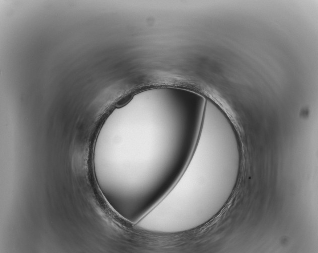 X0000095130058200712071018