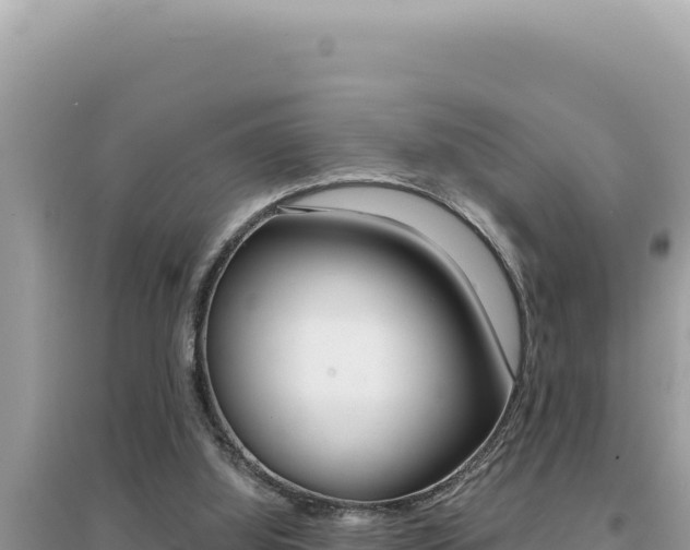 X0000095130060200712071018