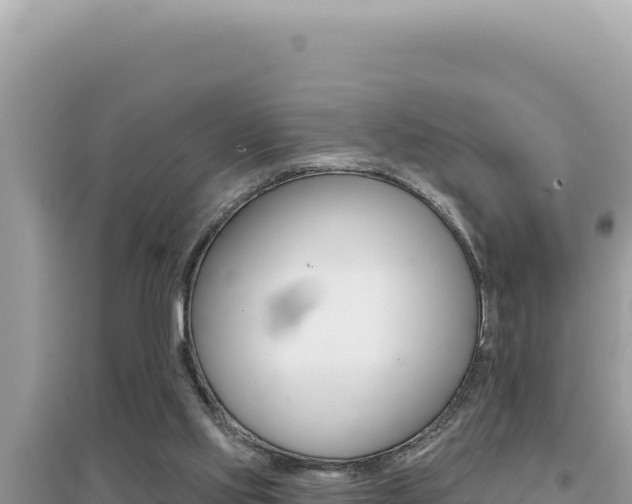 X0000095130061200712071018