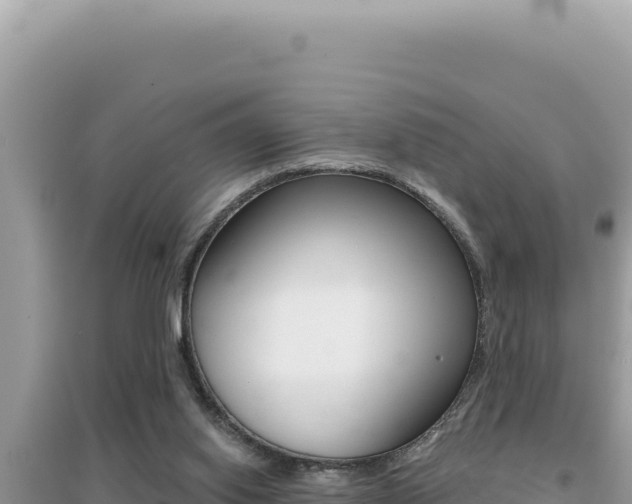 X0000095130062200712071018