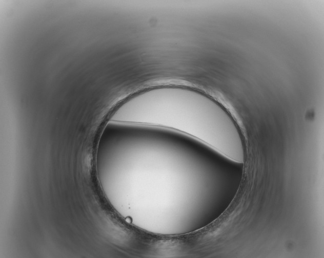 X0000095130063200712071018