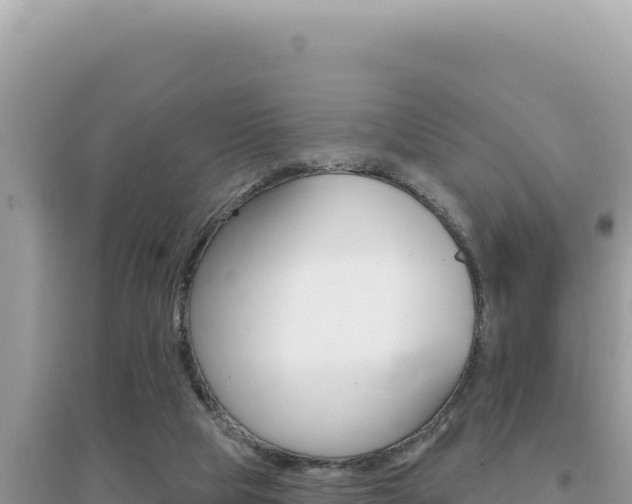 X0000095130065200712071018