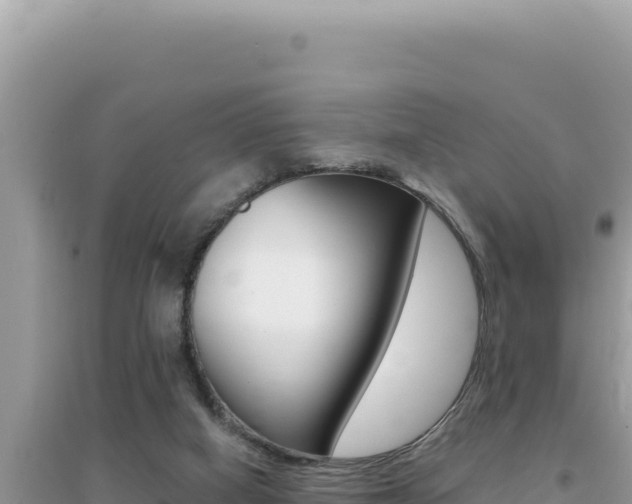 X0000095130066200712071018