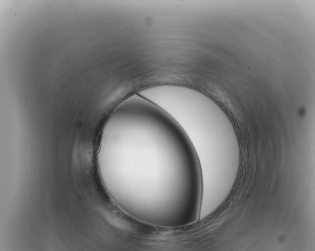 X0000095130072200712071018