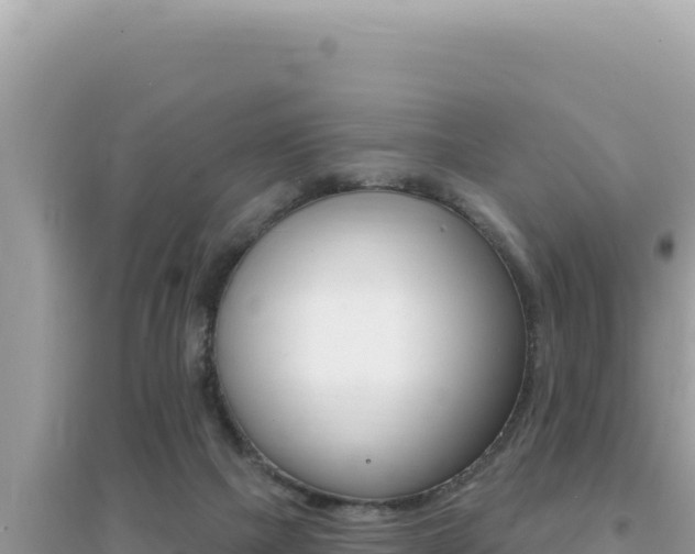 X0000095130073200712071018