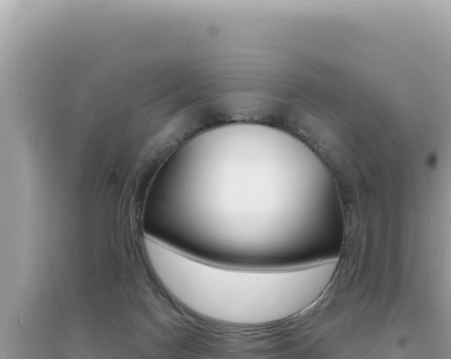 X0000095130074200712071018
