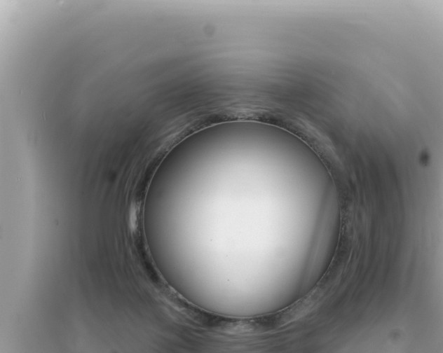 X0000095130075200712071018