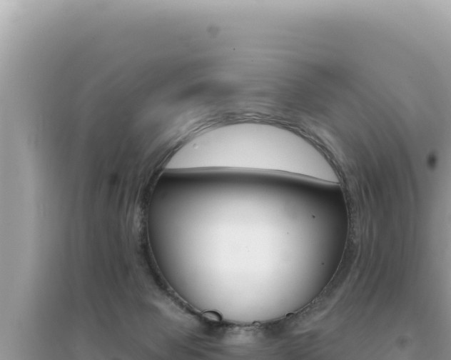 X0000095130077200712071018