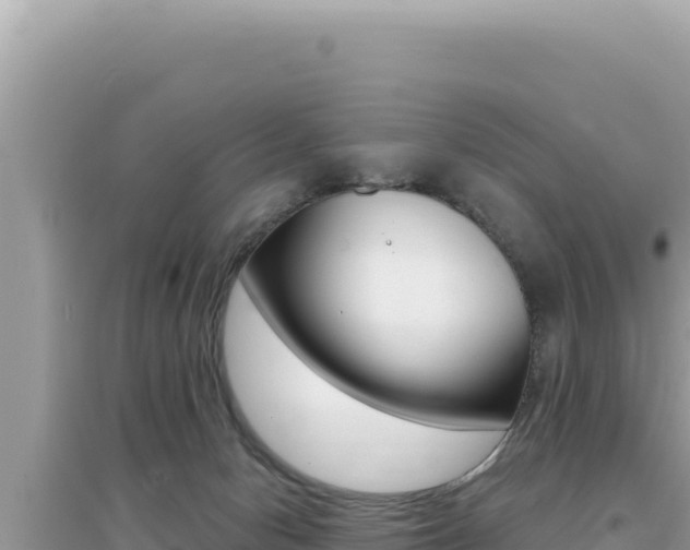 X0000095130078200712071018