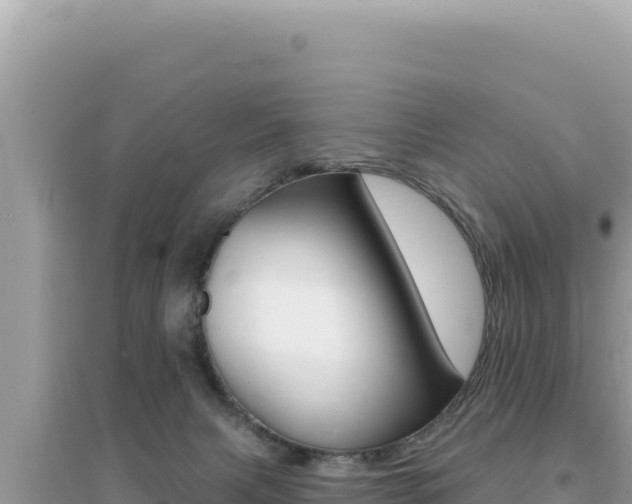 X0000095130079200712071018