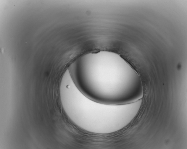 X0000095130080200712071018