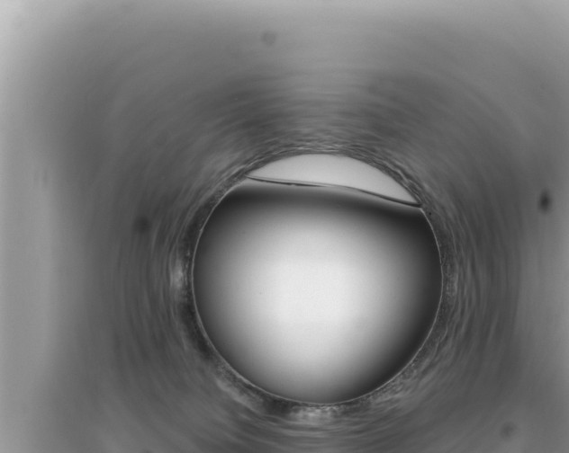 X0000095130084200712071018
