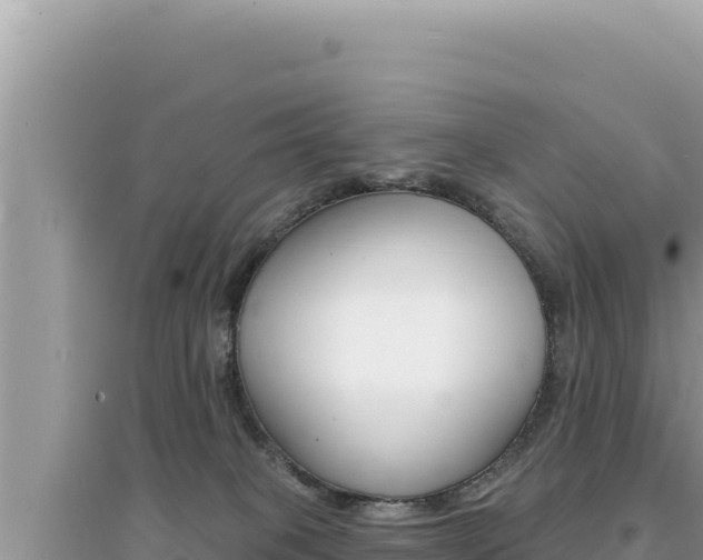 X0000095130085200712071018