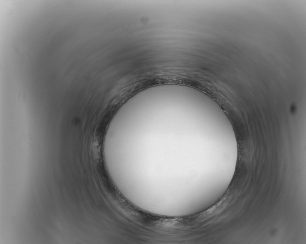X0000095130086200712071018