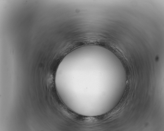 X0000095130087200712071018