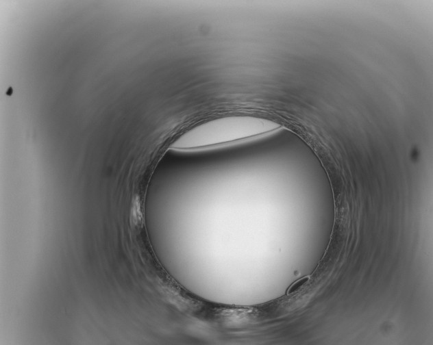 X0000095130089200712071018