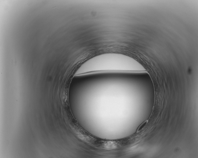 X0000095130091200712071019