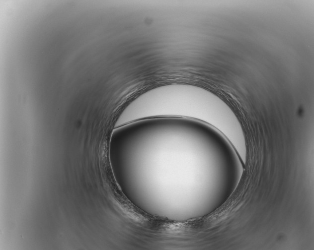 X0000095130092200712071019