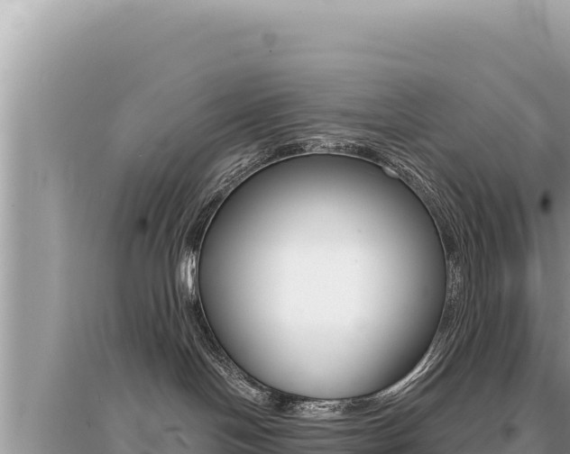 X0000095130094200712071019