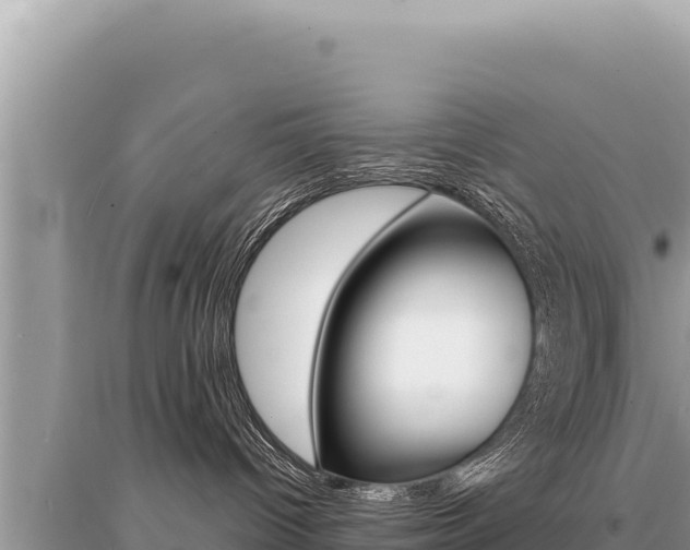 X0000095130096200712071019