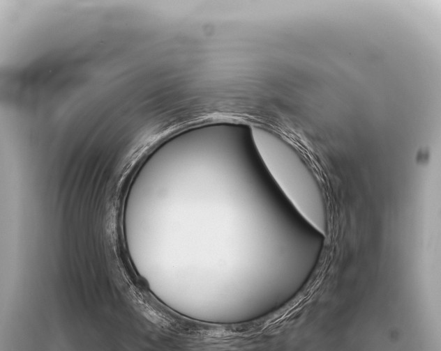 X0000095130098200712071018