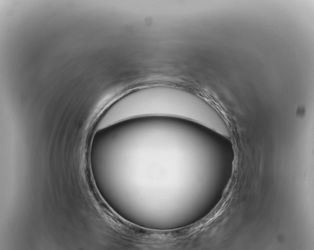 X0000095130101200712071018