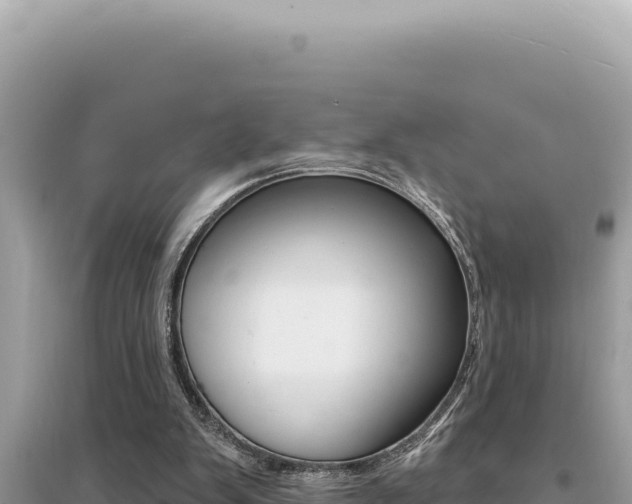 X0000095130103200712071018