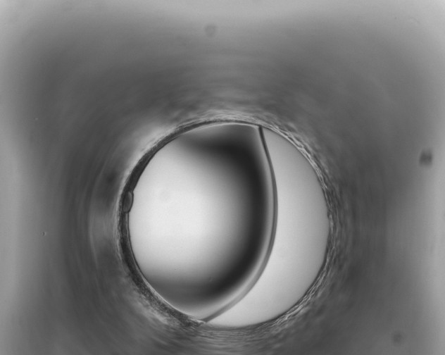 X0000095130104200712071018