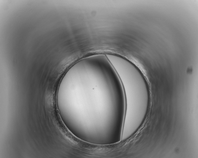 X0000095130105200712071018