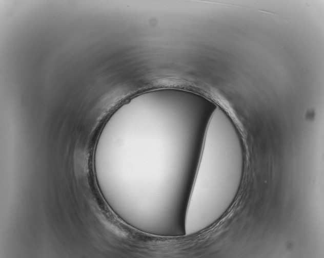 X0000095130106200712071018
