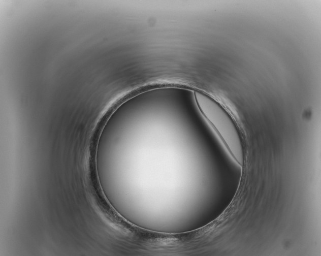 X0000095130108200712071018