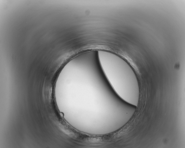 X0000095130110200712071018