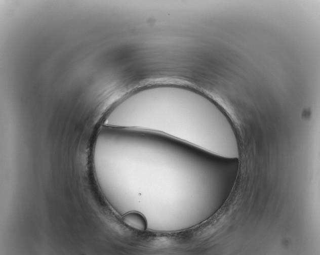 X0000095130111200712071018