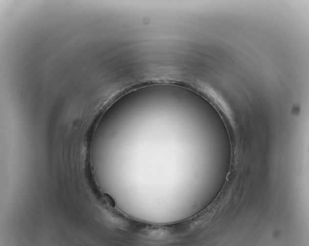 X0000095130113200712071018