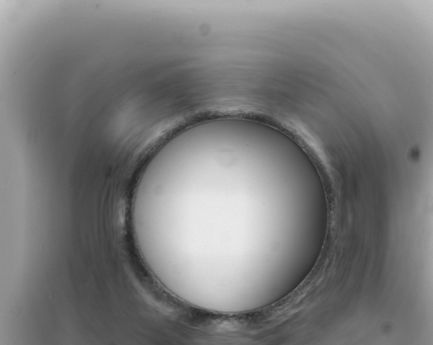 X0000095130115200712071017