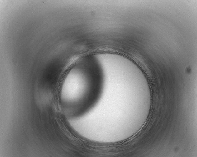 X0000095130116200712071017